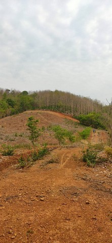 ขายที่ดินต่อรองได้ค่าโอนเจ้าของจ่าย อำเภอหล่มเก่า จังหวัดเพชรบูรณ์