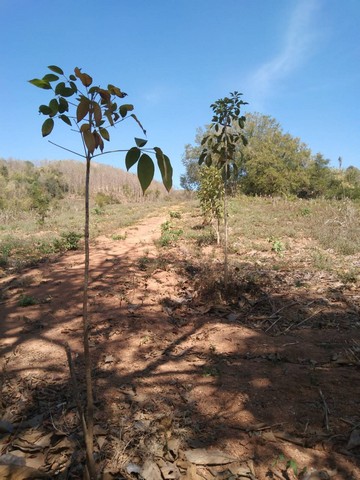 ขายที่ดินต่อรองได้ค่าโอนเจ้าของจ่าย อำเภอหล่มเก่า จังหวัดเพชรบูรณ์