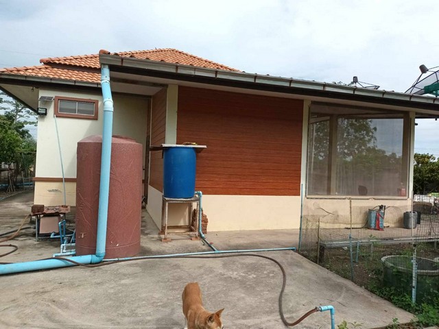 ขายบ้านชั้นเดียวพร้อมเข้าอยู่ เจ้าของอาศัยเองรับประกัน  อำเภอหนองฉาง อุทัยธานี