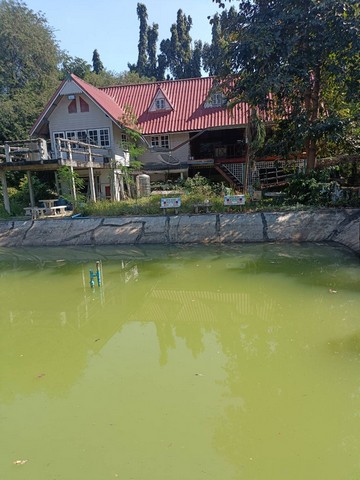 ขายที่ดินทำเลพื้นราบ ถนนใหญ่ผ่านหน้าแปลง อำเภอบ้านไร่ อุทัยธานี 