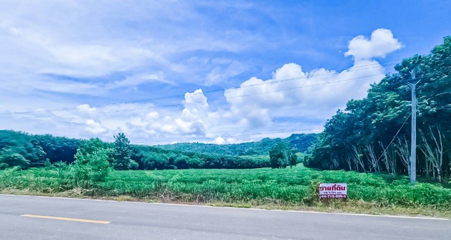 ขายที่ดินสวยทำเลดีติดถนน เจ้าของขายเอง อำเภอเมือง จังหวัดนครราชสีมา