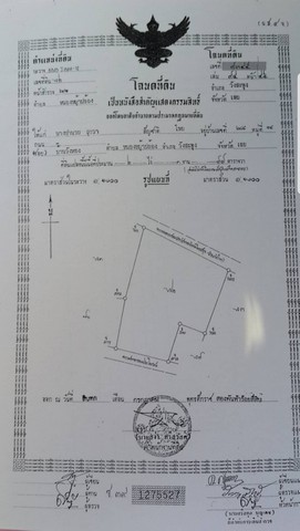 ขายบ้านเดียวพร้อมลากกระเป๋าเข้าอยู่ได้เลย อำเภอวังสะพุง เลย