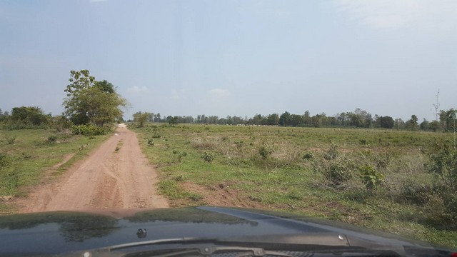 ขายที่ดินทำเลดี ที่ดินแปลงใหญ่ เจ้าของขายเอง จังหวัดกำแพงเพชร