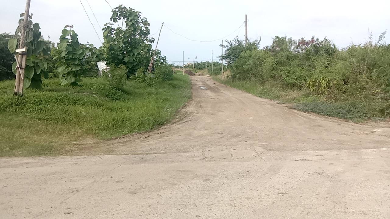 ขายที่ดินราคาพิเศษ เจ้าของขายเอง  อำเภอบางเสาธง สมุทรปราการ