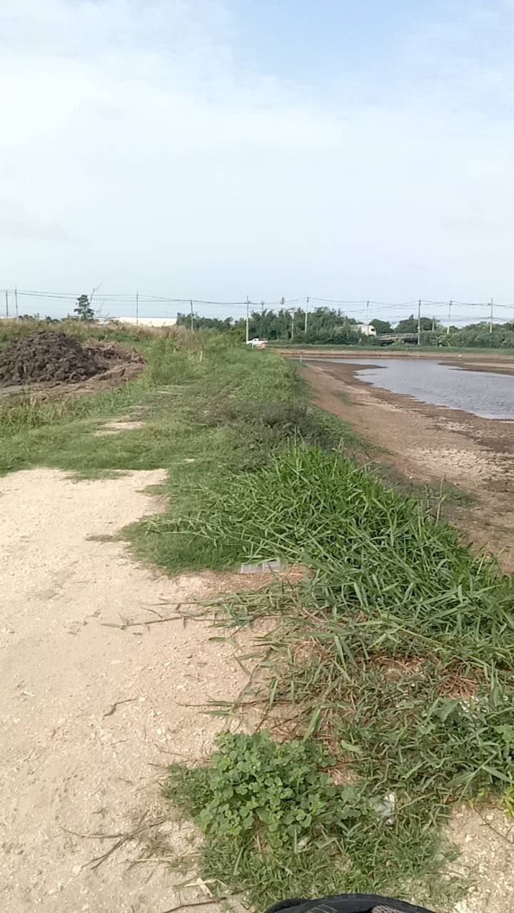 ขายที่ดินราคาพิเศษ เจ้าของขายเอง  อำเภอบางเสาธง สมุทรปราการ