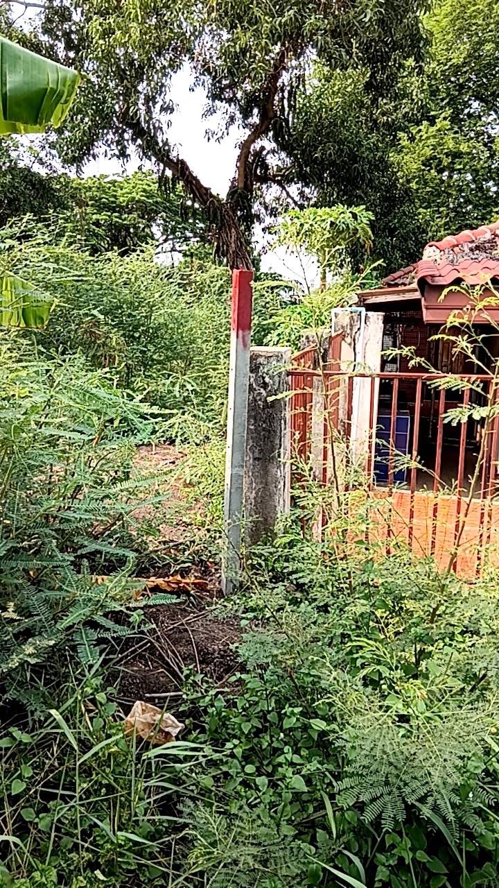 ขายที่ดินราคาพิเศษ เจ้าของขายเอง  อำเภอบางเสาธง สมุทรปราการ