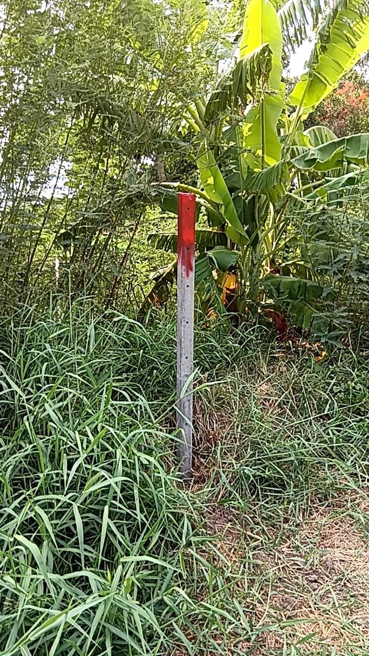 ขายที่ดินราคาพิเศษ เจ้าของขายเอง  อำเภอบางเสาธง สมุทรปราการ