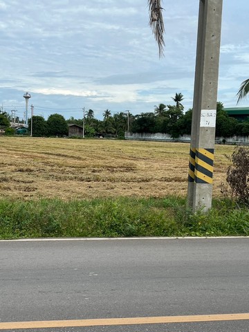 ขายที่ดินเหมาะในการทำทาว์เฮ้าส์ ทาว์โฮม บ้านจัดสรร และโกดังสินค้า  จังหวัดสมุทรสาคร