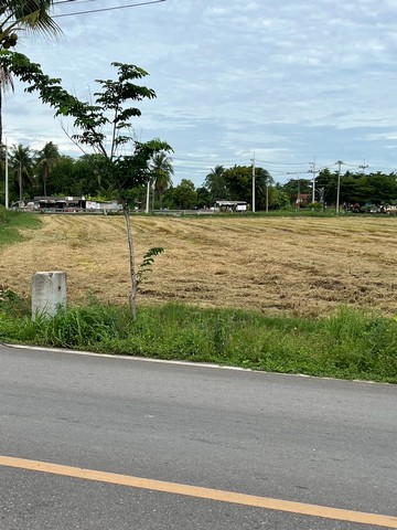 ขายที่ดินเหมาะในการทำทาว์เฮ้าส์ ทาว์โฮม บ้านจัดสรร และโกดังสินค้า  จังหวัดสมุทรสาคร