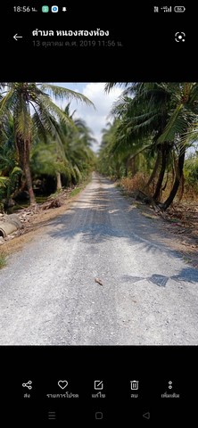 ขายที่ดิน 23 ไร่ 14 ตรางวา เจ้าของขายเอง ตำบลหนองสองห้อง อำเภอบ้านแพ้ว จังหวัดสมุทรสาคร