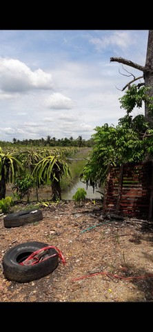 ขายที่ดิน 23 ไร่ 14 ตรางวา เจ้าของขายเอง ตำบลหนองสองห้อง อำเภอบ้านแพ้ว จังหวัดสมุทรสาคร