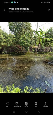 ขายที่ดิน 23 ไร่ 14 ตรางวา เจ้าของขายเอง ตำบลหนองสองห้อง อำเภอบ้านแพ้ว จังหวัดสมุทรสาคร