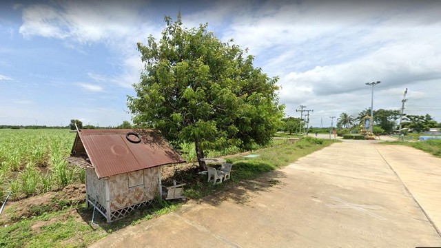 ขายที่ดินทำเลดี เจ้าของขายเอง เป็นการลงทุนที่คุ้มค่า  ตำบลพงตึก อำเภอท่ามะกา จังหวัดกาญจนบุรี 