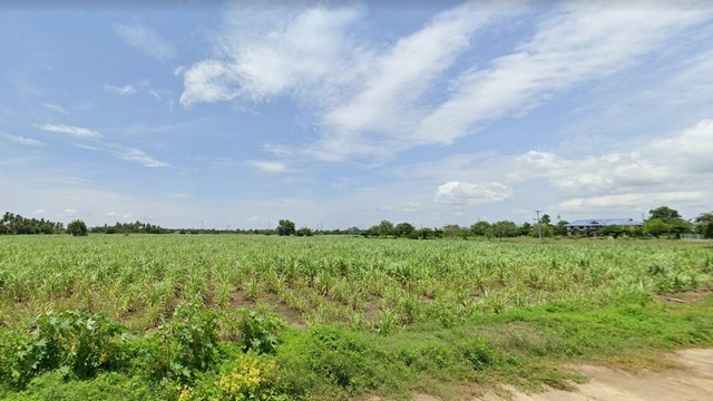 ขายที่ดินทำเลดี เจ้าของขายเอง เป็นการลงทุนที่คุ้มค่า  ตำบลพงตึก อำเภอท่ามะกา จังหวัดกาญจนบุรี 