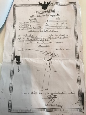 ขายที่ดินพร้อมสวนยางพารา เจ้าของขายเอง ตำบลบ้านทำเนียบ อำเภอคีรีรัฐนิคม สุราษฎร์ธานี