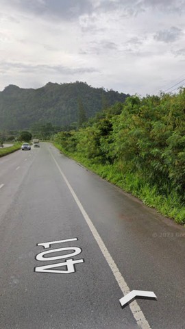 ขายที่ดินพร้อมสวนยางพารา เจ้าของขายเอง ตำบลบ้านทำเนียบ อำเภอคีรีรัฐนิคม สุราษฎร์ธานี