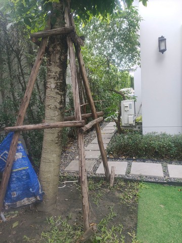 ขายบ้านเศรษฐสิริพัฒนาการ เจ้าของขายเอง  แขวงประเวศ เขตประเวศ กรุงเทพ