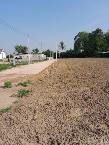 ขายที่ดินทำเลดี  เหมาะสำหรับปลูกบ้านและลงทุนเกรงกำไร เจ้าของขายเอง อำเภอเมืองพิษณุโลก จังหวัดพิษณุโลก