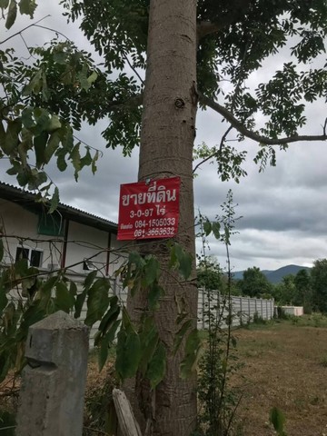 ขายดินทำเลดี ชุมชนดี ไม่เปลี่ยว ติดถนนซอย เจ้าของขายเอง อำเภอสามเงา จังหวัดตาก 