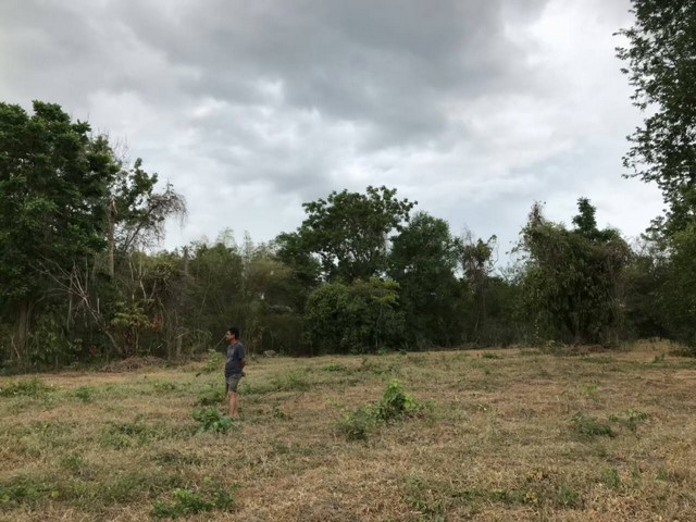 ขายดินทำเลดี ชุมชนดี ไม่เปลี่ยว ติดถนนซอย เจ้าของขายเอง อำเภอสามเงา จังหวัดตาก 