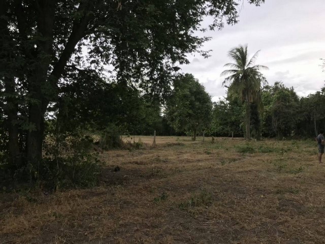 ขายดินทำเลดี ชุมชนดี ไม่เปลี่ยว ติดถนนซอย เจ้าของขายเอง อำเภอสามเงา จังหวัดตาก 