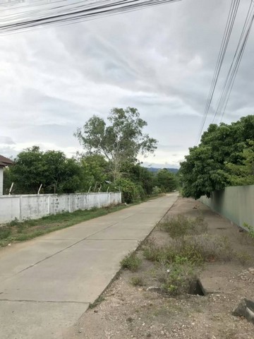 ขายดินทำเลดี ชุมชนดี ไม่เปลี่ยว ติดถนนซอย เจ้าของขายเอง อำเภอสามเงา จังหวัดตาก 