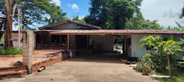 ขายที่ดินโฉนด บ้านสวนหนองคายโฉนด3แปลงติดกัน​ เจ้าของขายเอง อำเภอเมืองหนองคาย จังหวัดหนองคาย