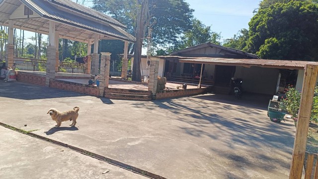 ขายที่ดินโฉนด บ้านสวนหนองคายโฉนด3แปลงติดกัน​ เจ้าของขายเอง อำเภอเมืองหนองคาย จังหวัดหนองคาย