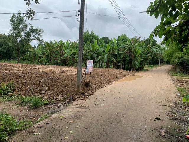 ขายที่ดินทำเลดีเหมาะสำหรับปลูกบ้าน  เส้น พิษณุโลก -บางกระทุ่ม  เจ้าของขายเอง อำเภอเมืองพิษณุโลก จังหวัดพิษณุโลก 