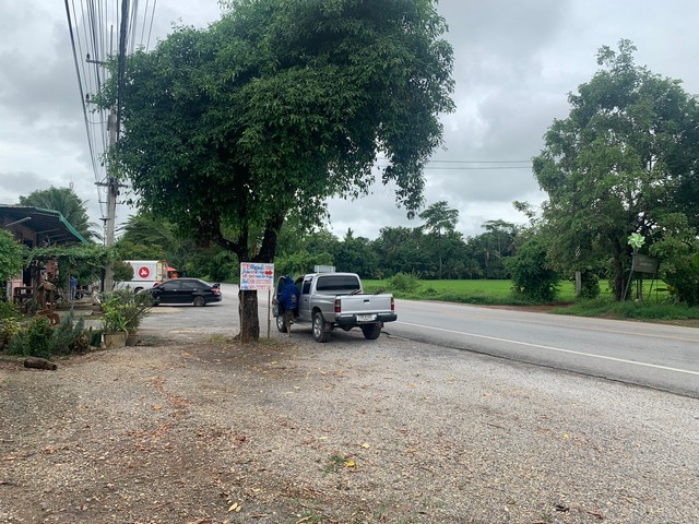 ขายที่ดินทำเลดีเหมาะสำหรับปลูกบ้าน  เส้น พิษณุโลก -บางกระทุ่ม  เจ้าของขายเอง อำเภอเมืองพิษณุโลก จังหวัดพิษณุโลก 