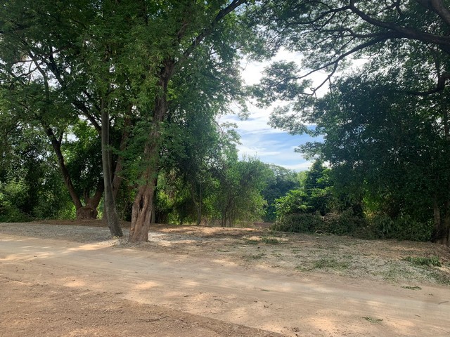 ขายที่ดินริมน้ำน่าน เจ้าของขายเอง ราคาต่อรองได้  ตำบลวัดพริก อำเภอเมืองพิษณุโลก พิษณุโลก