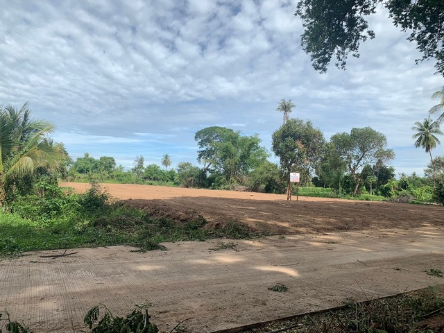 ขายที่ดินริมน้ำน่าน เจ้าของขายเอง ราคาต่อรองได้  ตำบลวัดพริก อำเภอเมืองพิษณุโลก พิษณุโลก