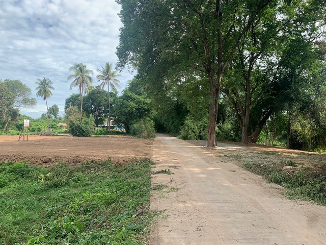 ขายที่ดินริมน้ำน่าน เจ้าของขายเอง ราคาต่อรองได้  ตำบลวัดพริก อำเภอเมืองพิษณุโลก พิษณุโลก