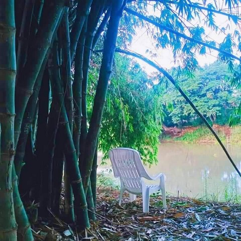  ขายที่ดิน เจ้าของขายเอง การเดินทางสะดวก  ตำบลหัวไผ่ อำเภอมหาราช จังหวัดพระนครศรีอยุธยา