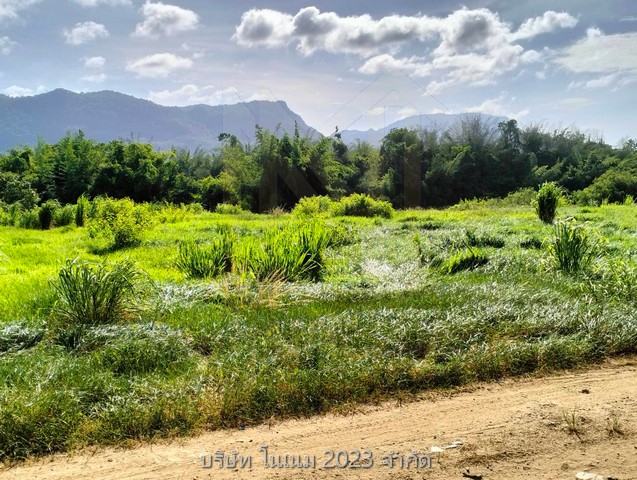 ขายที่ดินพื้นงามเป็นโฉนดทั้งหมดติดแม่น้ำ ทำเลติดเทศบาลน้ำตกไทรโยคน้อยตลาดสดห้างบิ๊กซีโลตัสซีเจเซเว่น 2 แห่งติดแหล่งท่องเที่ยว