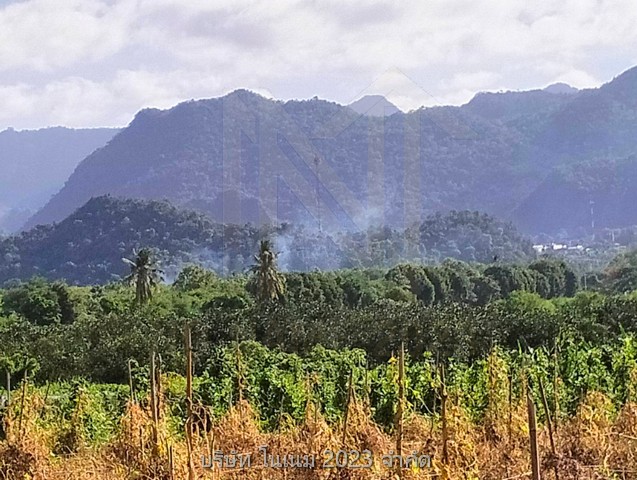 ขายที่ดินพื้นงามเป็นโฉนดทั้งหมดติดแม่น้ำ ทำเลติดเทศบาลน้ำตกไทรโยคน้อยตลาดสดห้างบิ๊กซีโลตัสซีเจเซเว่น 2 แห่งติดแหล่งท่องเที่ยว