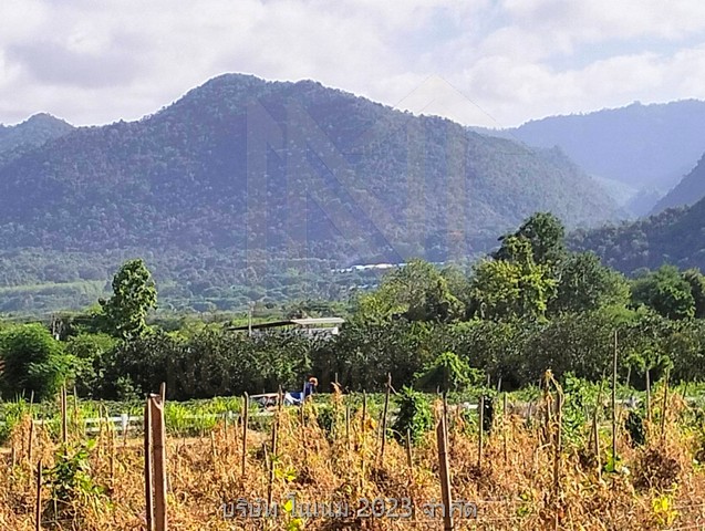 ขายที่ดินพื้นงามเป็นโฉนดทั้งหมดติดแม่น้ำ ทำเลติดเทศบาลน้ำตกไทรโยคน้อยตลาดสดห้างบิ๊กซีโลตัสซีเจเซเว่น 2 แห่งติดแหล่งท่องเที่ยว