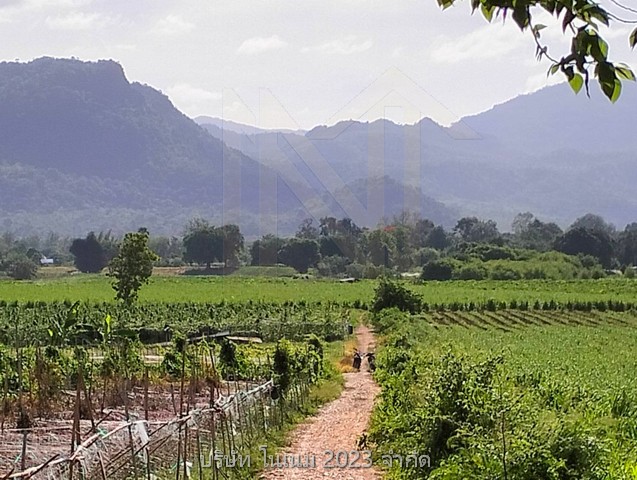 ขายที่ดินพื้นงามเป็นโฉนดทั้งหมดติดแม่น้ำ ทำเลติดเทศบาลน้ำตกไทรโยคน้อยตลาดสดห้างบิ๊กซีโลตัสซีเจเซเว่น 2 แห่งติดแหล่งท่องเที่ยว