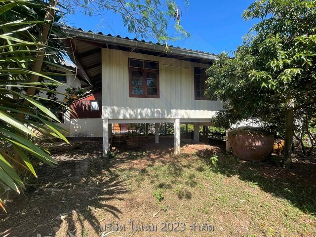 ขายที่ดินพร้อมบ้าน เจ้าของขายเอง เหมาะทำเป็นที่อยู่อาศัยหรือบ้านพักตากอากาศ  ด่านซ้าย จังหวัดเลย