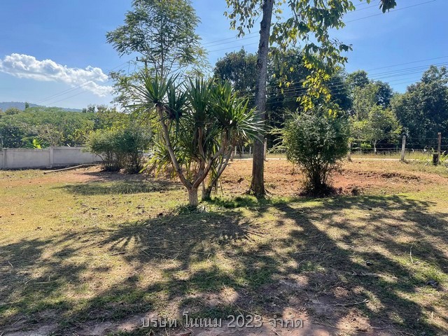 ขายที่ดินพร้อมบ้าน เจ้าของขายเอง เหมาะทำเป็นที่อยู่อาศัยหรือบ้านพักตากอากาศ  ด่านซ้าย จังหวัดเลย