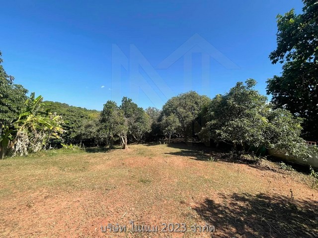 ขายที่ดินพร้อมบ้าน เจ้าของขายเอง เหมาะทำเป็นที่อยู่อาศัยหรือบ้านพักตากอากาศ  ด่านซ้าย จังหวัดเลย