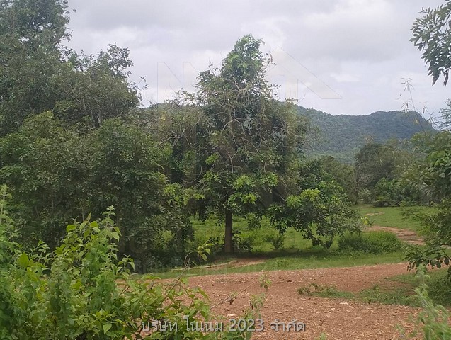 ขายที่ดินผืนงามติดแม่น้ำ เป็น น.ส.3ก. อยู่ในเขตเทศบาลใกล้น้ำตกไทรโยคน้อยและตลาดน้ำตกไทรโยคน้อยมีแหล่งท่องเที่ยวโดยรอบ กาญจนบุรี