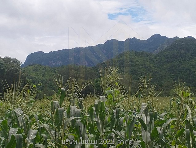 ขายที่ดินผืนงามติดแม่น้ำ เป็น น.ส.3ก. อยู่ในเขตเทศบาลใกล้น้ำตกไทรโยคน้อยและตลาดน้ำตกไทรโยคน้อยมีแหล่งท่องเที่ยวโดยรอบ กาญจนบุรี