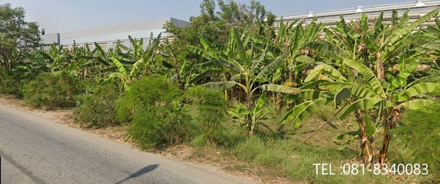 ขายที่ดิน ติดถนนแสงชูโตขาเข้ากรุงเทพ   อำเภอท่ามะกา กาญจนบุรี