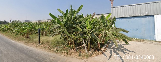 ขายที่ดิน ติดถนนแสงชูโตขาเข้ากรุงเทพ   อำเภอท่ามะกา กาญจนบุรี