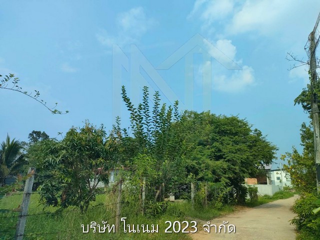 ขายทำเลดี ใกล้แหล่งชุมชน ใกล้แหล่งชุมชน ตำบลกำแพงเพชร อำเภอรัตภูมิ จังหวัดสงขลา 
