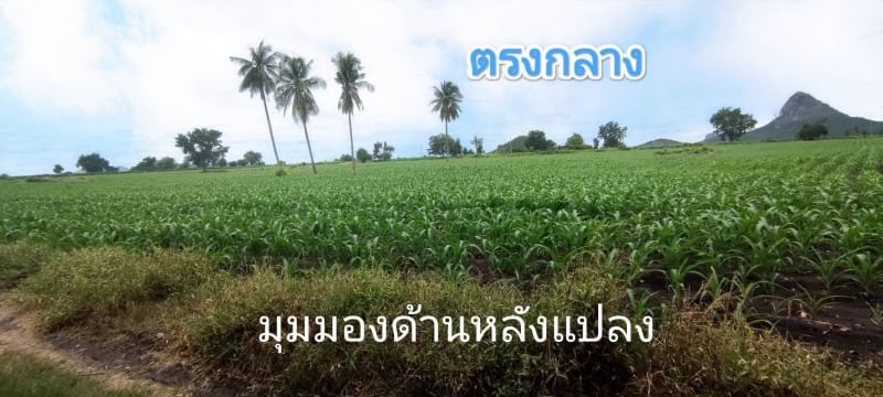 ขายที่ดิน ลพบุรี ชัยบาดาล วิวภูเขาสวยๆ ตำบลใหม่สามัคคี อำเภอชัยบาดาล จังหวัดลพบุรี 
