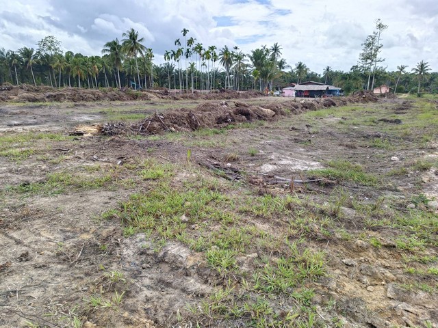 ขายที่ดิน โฉนด 2 แปลง เนื้อที่  6 ไร่ 1 งาน ตำบลนาขา อำเภอหลังสวน จังหวัดชุมพร 