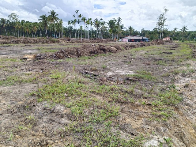 ขายที่ดิน โฉนด 2 แปลง เนื้อที่  6 ไร่ 1 งาน ตำบลนาขา อำเภอหลังสวน จังหวัดชุมพร 