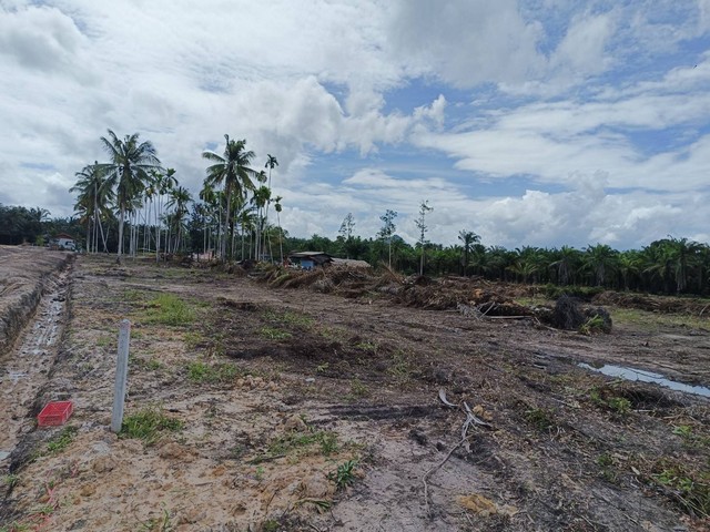 ขายที่ดิน โฉนด 2 แปลง เนื้อที่  6 ไร่ 1 งาน ตำบลนาขา อำเภอหลังสวน จังหวัดชุมพร 